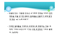 [학습심리] 조작적 조건형성-7