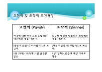[학습심리] 조작적 조건형성-8