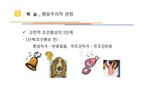 [소비자행동] 학습과 소비자 행동-16