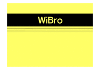 [디지털미디어] Wibro 와이브로-1