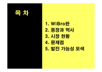 [디지털미디어] Wibro 와이브로-2