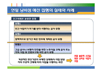 [행정학] 연말 낭비성 예산의 원인과 대안-3