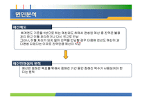 [행정학] 연말 낭비성 예산의 원인과 대안-6