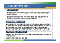 [행정학] 연말 낭비성 예산의 원인과 대안-10