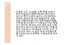 한국의 전통주 레포트-13