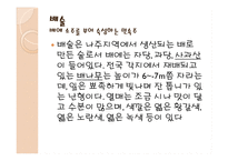 한국의 전통주 레포트-15