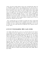 [사회복지] 의료보건과 복지의 연계필요성과 실체적 사업내용-8