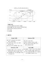 [국제마케팅] 세계자동차시장 마케팅전략-9