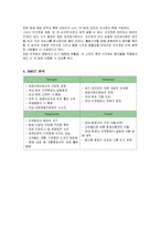 [거시조직론] 한성항공의 전략분석-8