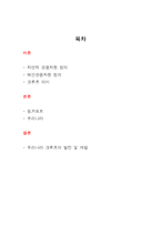 [관광자원의 이해] 우리나라 크루즈의 발전및 개발-7
