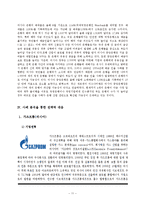 [글로벌지역연구] 글로벌 경쟁력에있어 중국과 러시아의 전략-13