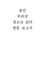 [사회복지실천론] 용인 푸른꿈 청소년쉼터 방문 사례-1