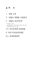 [글로벌지역연구] 디지털경쟁력 인텔-2