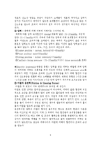 [사회복지의료사회] 욕창에관한 연구-6