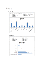 [사회조사분석] 일본인 관광객 증가에 따른 화장품 시장조사-11