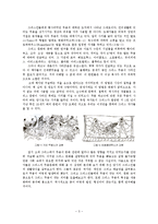 [동서양무용문화] 그리스 문화와 춤-3