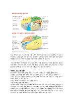 [교육학개론] 새터민의 정착에관한 연구-5