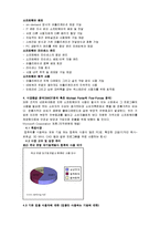 [사업계획서][조직행동론] ISS(Inexpensive Safe Share)Stream의 사업계획서-2