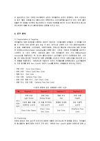 [마케팅] 세계적인 브랜드 코카콜라의 마케팅전략(SWOT, STP, 4P) 분석-17