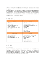 [마케팅] 콜드스톤 크리머리의 마케팅과 새로운 전략 제안-7