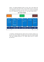 [창업과경영] 포스코와 외국기업의 사례를 통해바라본 CSR-3