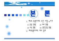 [관광학원론] 제주특별자치도 이후 관광성과와 과제-9