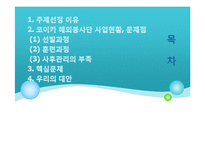 [국제개발협력] 코이카 해외봉사단의 문제점과 그 대안-2