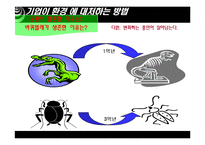 [경영학의이해] 기업순위의 변화와 대응-15