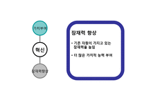 [경영학원론] 피터 드러커의 이론에 의거한 혁신개념 및 혁신전략-8
