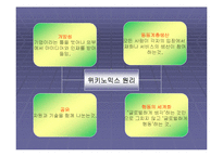 [국제마케팅] 고급컨텐츠(WEB2.0)시대-8