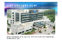 [인간과경영] 다양성관리(장애인분야)-13