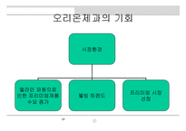 [마케팅원론] 해태제과 뷰티스타일 슈퍼푸드의 성공적인 수익창출을위한 효율적인 마케팅전략 모색-17