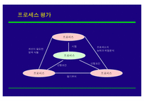 [조직개발론] BPR 추진전략 및 사례-8