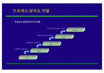 [조직개발론] BPR 추진전략 및 사례-10