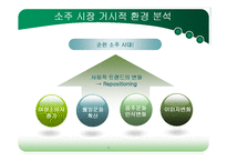[국제마케팅] 참이슬과 처음처럼의 마케팅전략-5