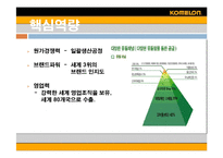 [글로벌경영] 코메론(komelon)의 미국진출성공-16