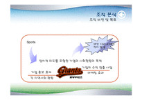 [조직관리경영론] 롯데자이언츠 경영사례-6
