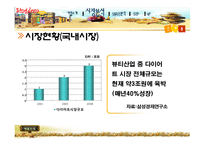 [마케팅전략] Singdom의 마케팅 성공사례-10