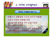 [소비자행동] 라이프스타일-3