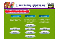 [소비자행동] 라이프스타일-11