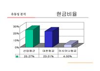 [재무분석] 대한항공과 아시아나항공의 재무비율분석 사례-15