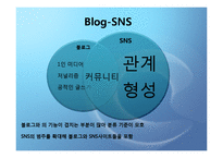 [경영과정보기술]SNS(Social Network 기술)에관한 연구-10