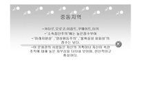 [리더십의이해] 문화권별 리더십-15