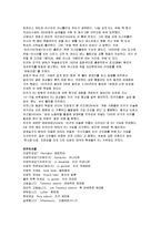 [해외지역연구] 유럽4개국(스웨덴 터키 독일 카자흐스탄)에 관한 연구-19
