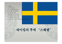 [해외지역연구] 유럽4개국(스웨덴 터키 독일 카자흐스탄)에 관한 연구-3