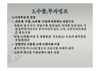 [해외지역연구] 유럽4개국(스웨덴 터키 독일 카자흐스탄)에 관한 연구-11
