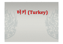 [해외지역연구] 유럽4개국(스웨덴 터키 독일 카자흐스탄)에 관한 연구-20