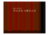 [지역학] 멕시코(사빠띠스따 혁명과 멕시코의 정치경제)-1