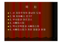 [지역학] 멕시코(사빠띠스따 혁명과 멕시코의 정치경제)-2