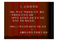 [지역학] 멕시코(사빠띠스따 혁명과 멕시코의 정치경제)-7